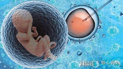 关于暖阳生殖